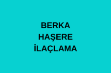 BERKA HAŞERE İLAÇLAMA