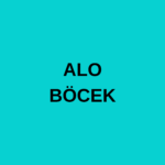 ALO BÖCEK