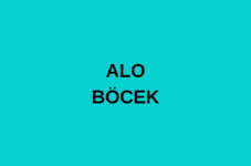 ALO BÖCEK