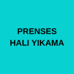 PRENSES HALI YIKAMA