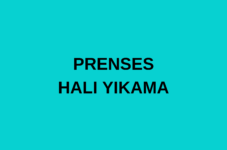 PRENSES HALI YIKAMA