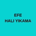 EFE HALI YIKAMA