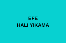 EFE HALI YIKAMA