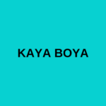 KAYA BOYA