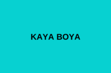 KAYA BOYA