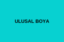 ULUSAL BOYA