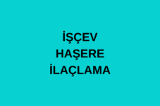 İŞÇEV HAŞERE İLAÇLAMA