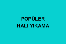 POPÜLER HALI YIKAMA